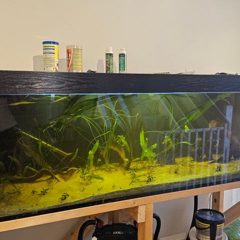 Akvarie 720l *reservert*