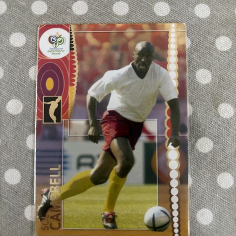 Sol Campbell World Cup 2006