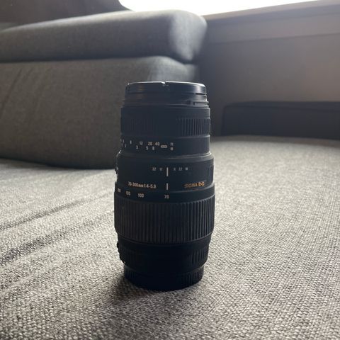 Sigma DG 70-300mm 1:4-5.6