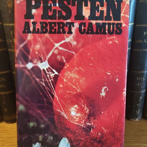 Albert Camus: Pesten