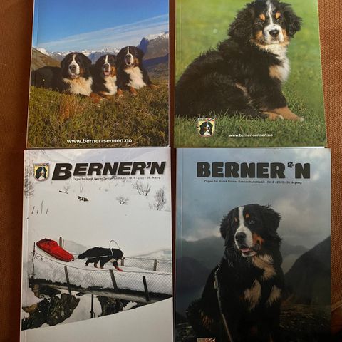 Berner’n