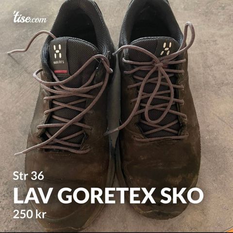 Goretex sko str 36