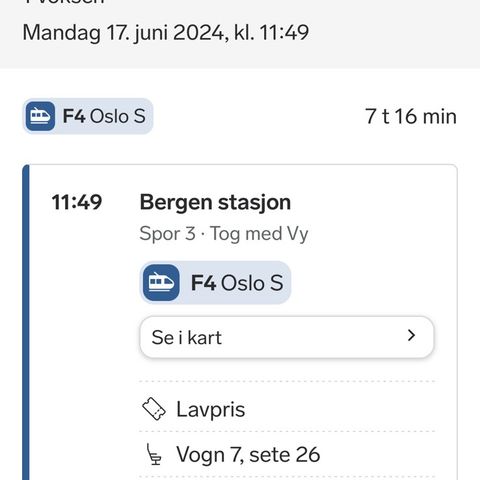 Bergen - Oslo S - 17. juni kl 11:49