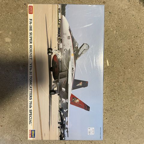 1:72 Hasegawa F-18E Super Hornet