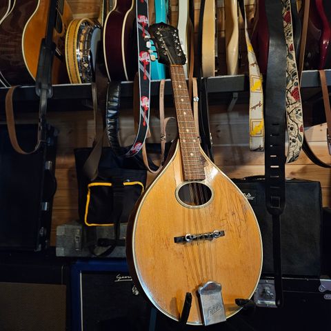 Blond Levin mandolin (prosjekt)