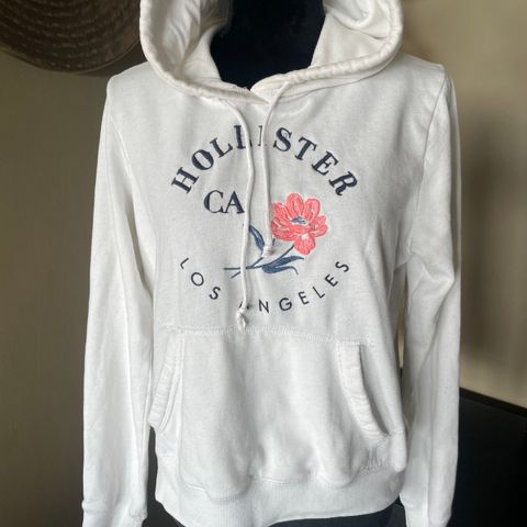 Hollister Hodie