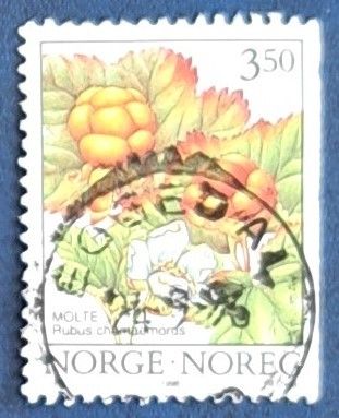 NK 1254. Skogsbær II. Multe. Stemplet EGGEDAL 24-9-96