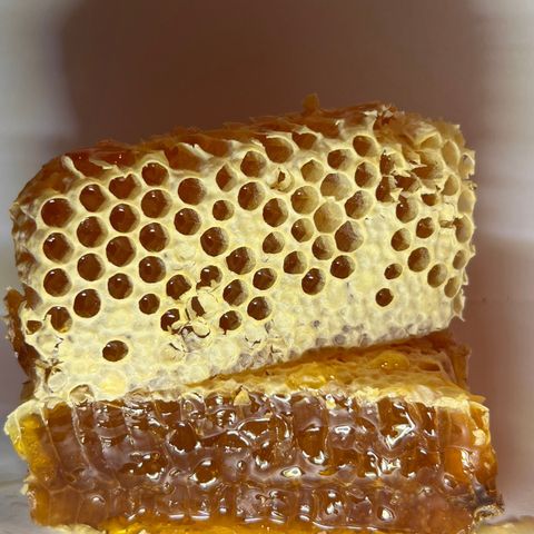Honning/Tavlehonning