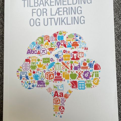 Tilbakemelding for læring og utvikling (Siv Måseidvåg Gamlem)