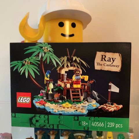 Lego 40566 Ray The Castaway