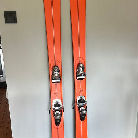 DPS carbon Powderworks Wailer 100 C2 179cm