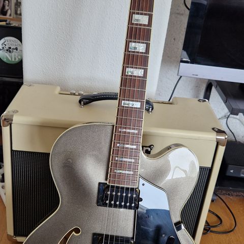 Ibanez AFS77T-12-01
