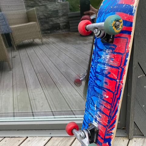 Skatebord