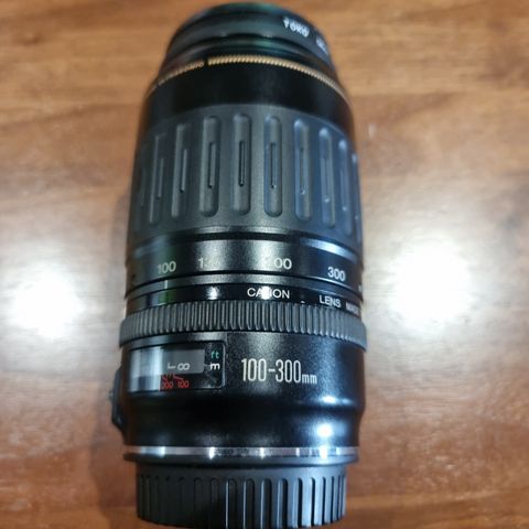 Canon EF 100-300 f/4.5-5.6 USM