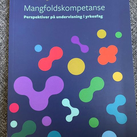 Mangfoldskompetanse - Perspektiver på undervisning i yrkesfag (Åse Røthing)