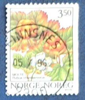 NK 1254. Skogsbær II. Stemplet FINNSNES 05 7 96