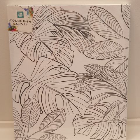 Colour- In Canvas