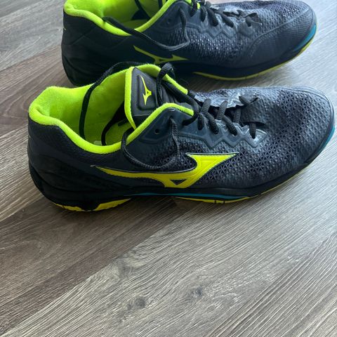 Mizuno Wave Stealth str 42,5