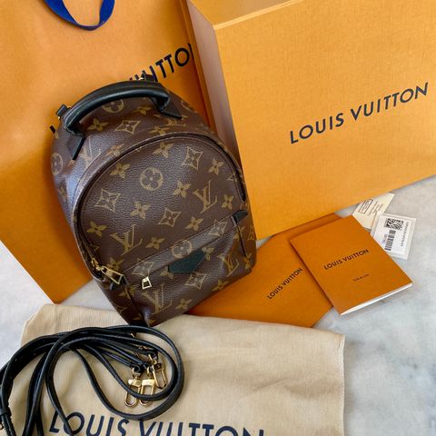 Louis Vuitton Palm Springs Mini