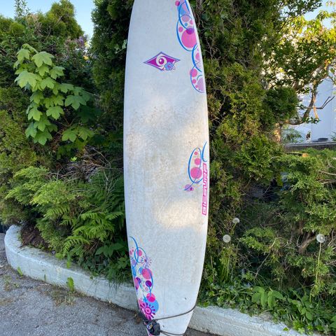 BicSurf Mini Malibu 7’3’’