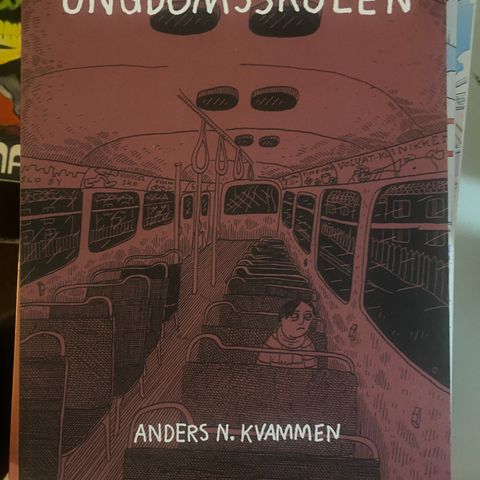 Ungdomsskolen - tykk softcover av Anders N. Kvammen