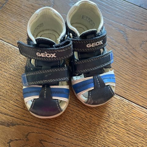 Geox sandal