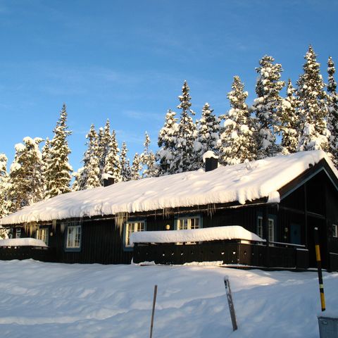 Fantastisk vinterferie på Gålå uke 9. 22 februar-1 mars. Ski in/Ski out