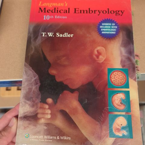 Langman's Medical Embryology