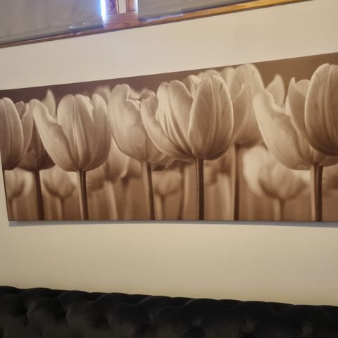 bilde mål 140×50cm