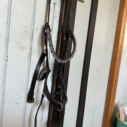 Micklem multibridle