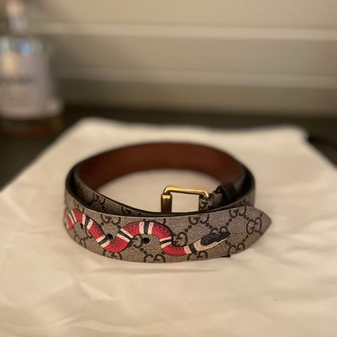 GG Supreme Gucci belt with kingsnake print