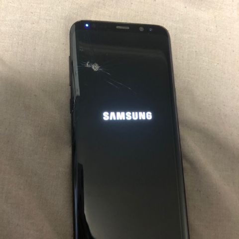 Samsung S8+