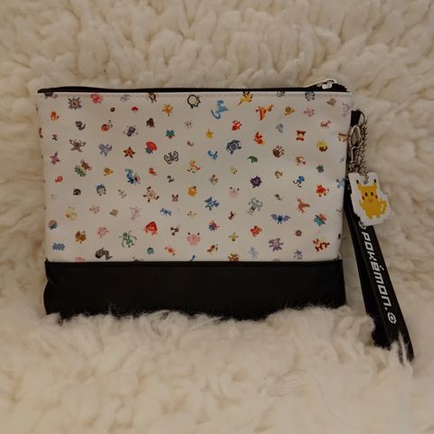 Pokemon pouch