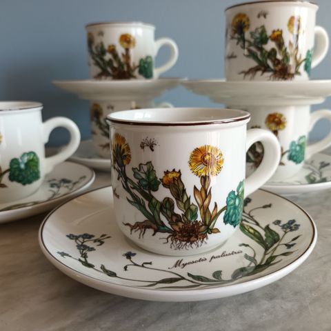 " Botanica " Villeroy og Boch kaffekopper