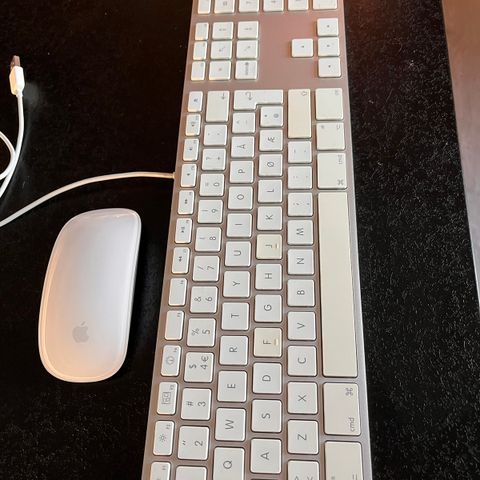 Magic mouse og tastatur fra Apple