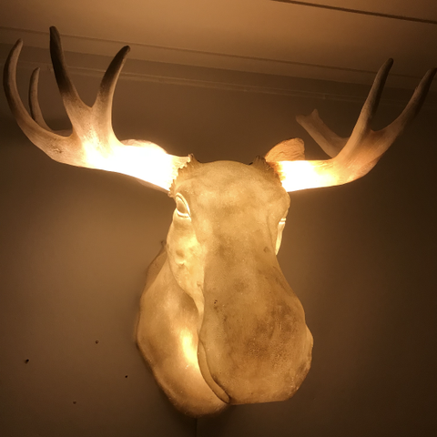 Elglampen " Moo wall lamp " fra Northern Lightening