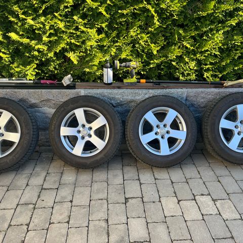 Michelin X-Ice Green 215/65 R16 på 5x114,3 ET 50