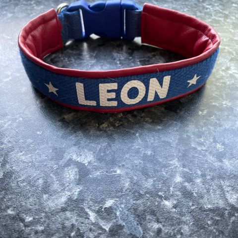Halsbånd til Leon