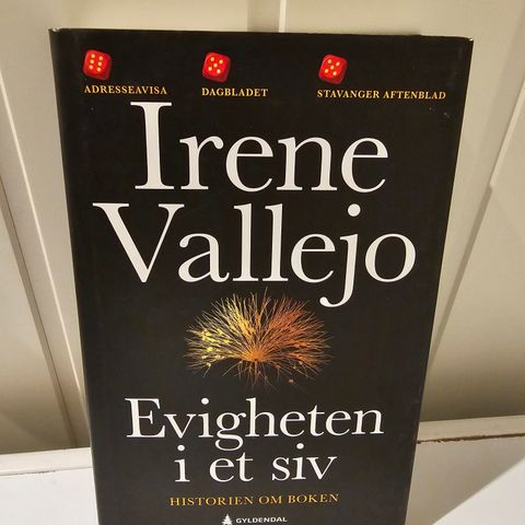 Evigheten i et siv - Irene Vallejo. Innbundet