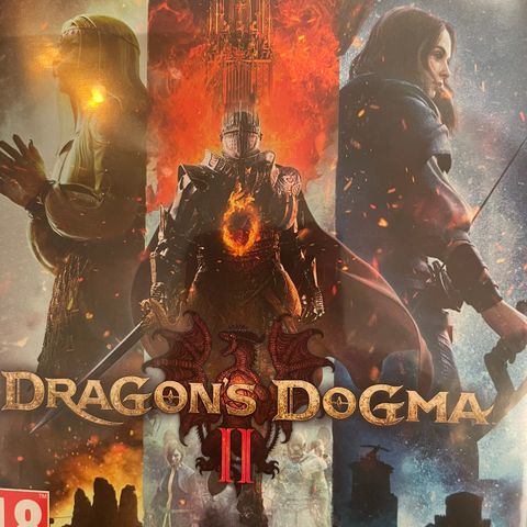 Dragon’s Dogma to