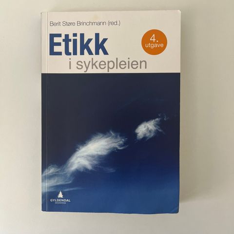 Etikk i sykepleien (4.utg, 2017)