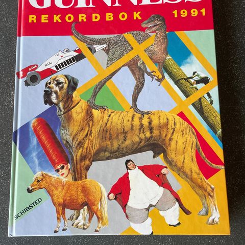 Guinness rekordbok 1991