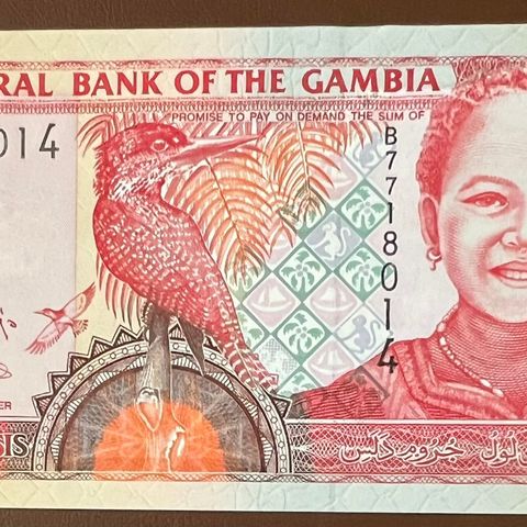 GAMBIA   5 DALASI.  P-20a.  2001.  UNC