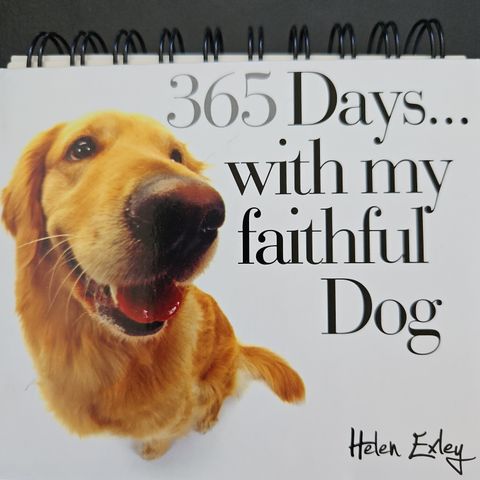 365 Days With my dog,  Året med hunden min. Kalender