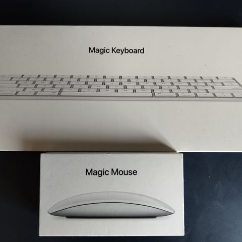 Apple magic keyboard + mouse + etui