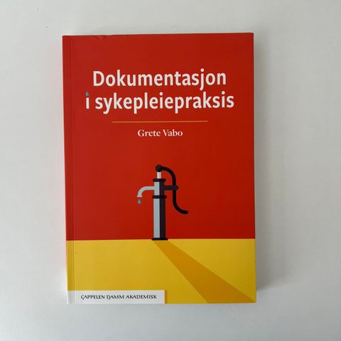 Dokumentasjon i sykepleiepraksis (2018)