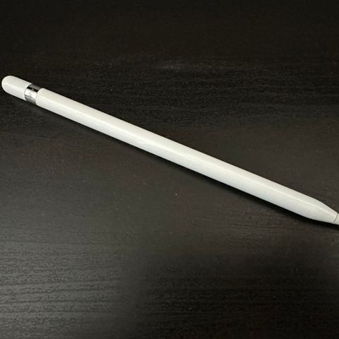 Apple pen (Gen. 1)