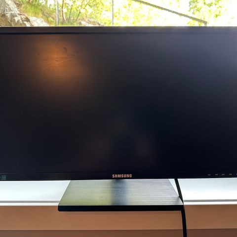 pc skjerm samsung s24e450