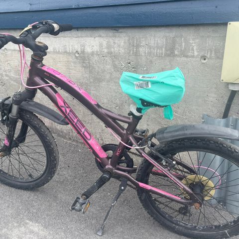 20’’ Xeed barnesykkel