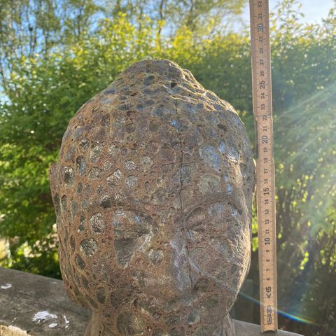 Dekorhode Buddha